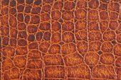royalty-free-stock-pictures-crocodile-texture-abstract-12454579.jpg