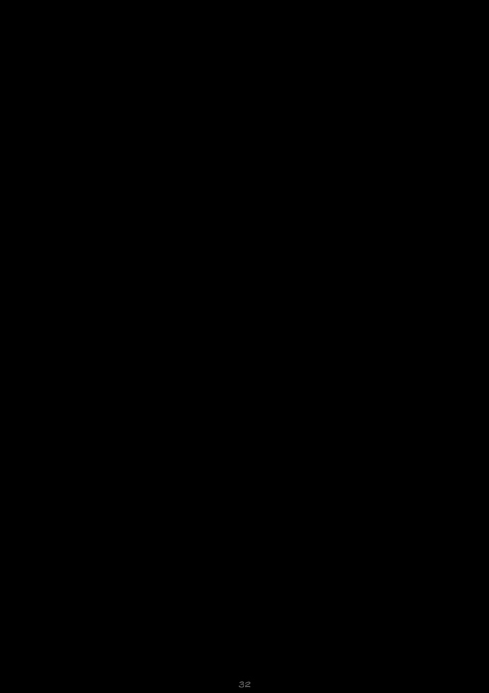 page_32.jpg
