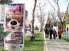 DSC01366.jpg