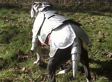 Spok_in_metal_3-375x275.jpg