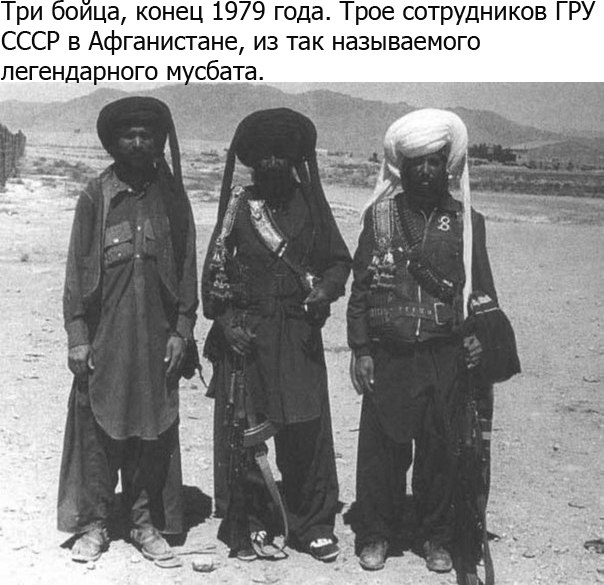 hMOi664913Q[1].jpg