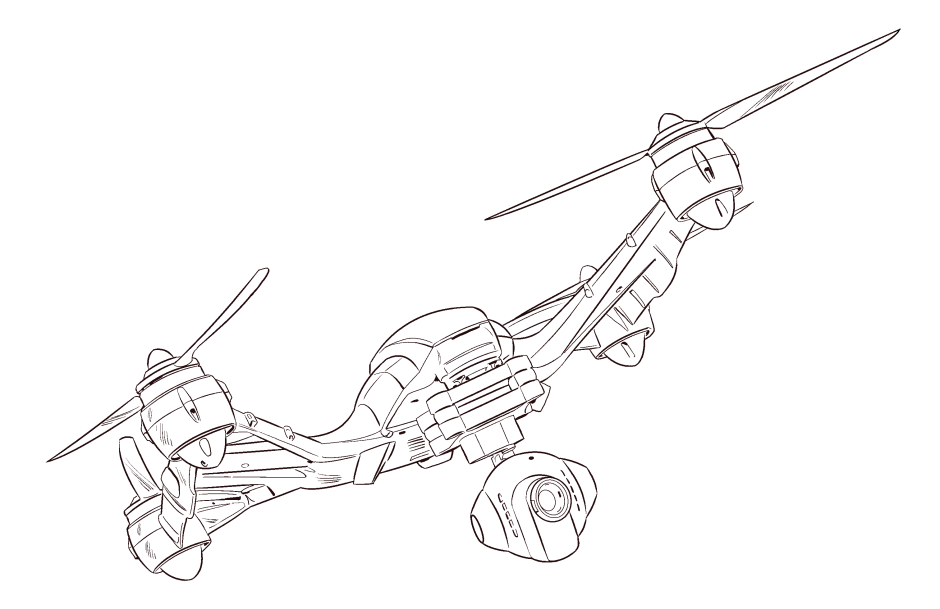 SN_00b_bw_sm.png