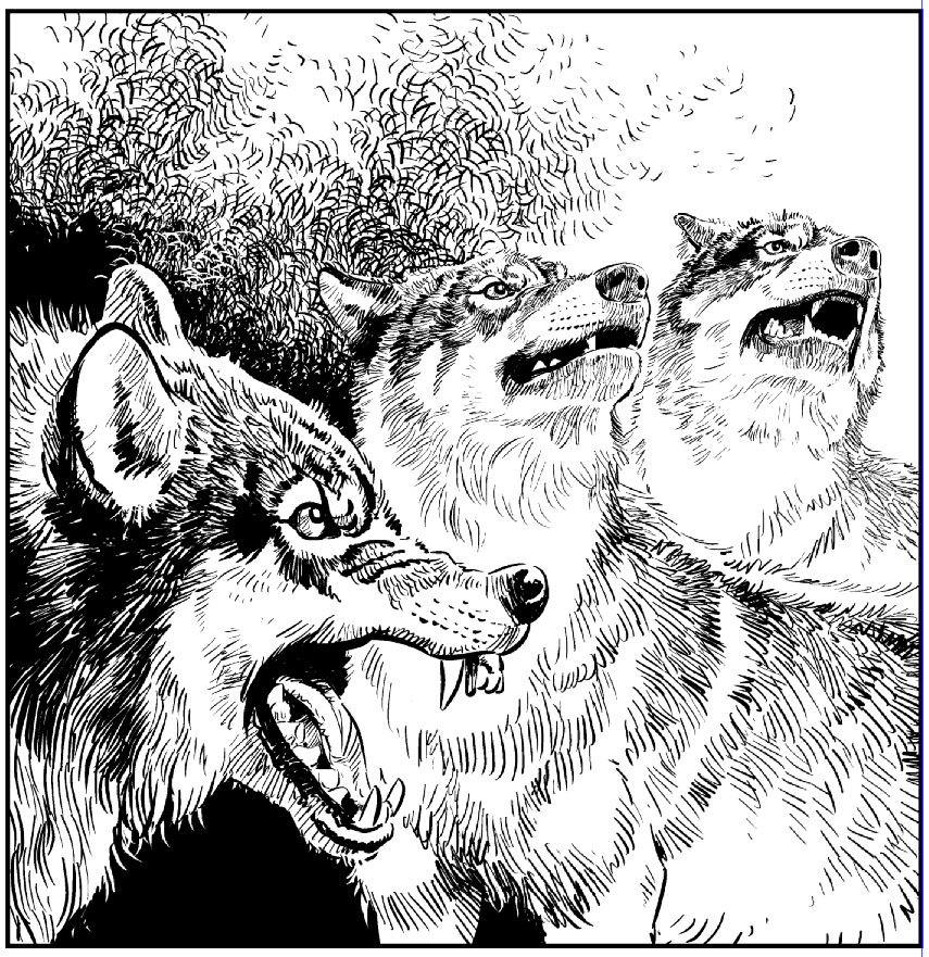 Untitled-1 copy.jpg