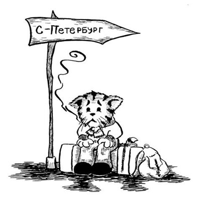 kotka-art03.jpg