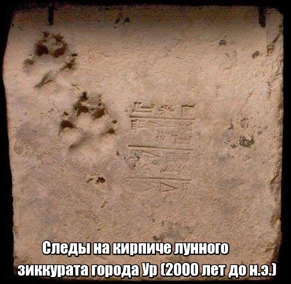 podborka_vecher_11.jpg