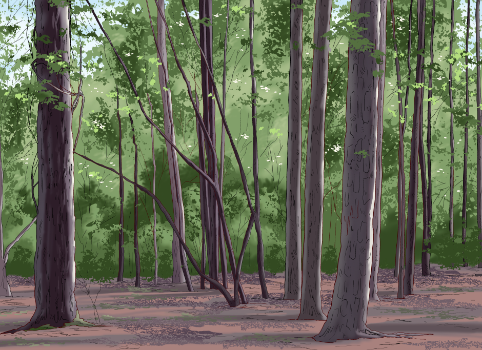 Forest_001_sm.png