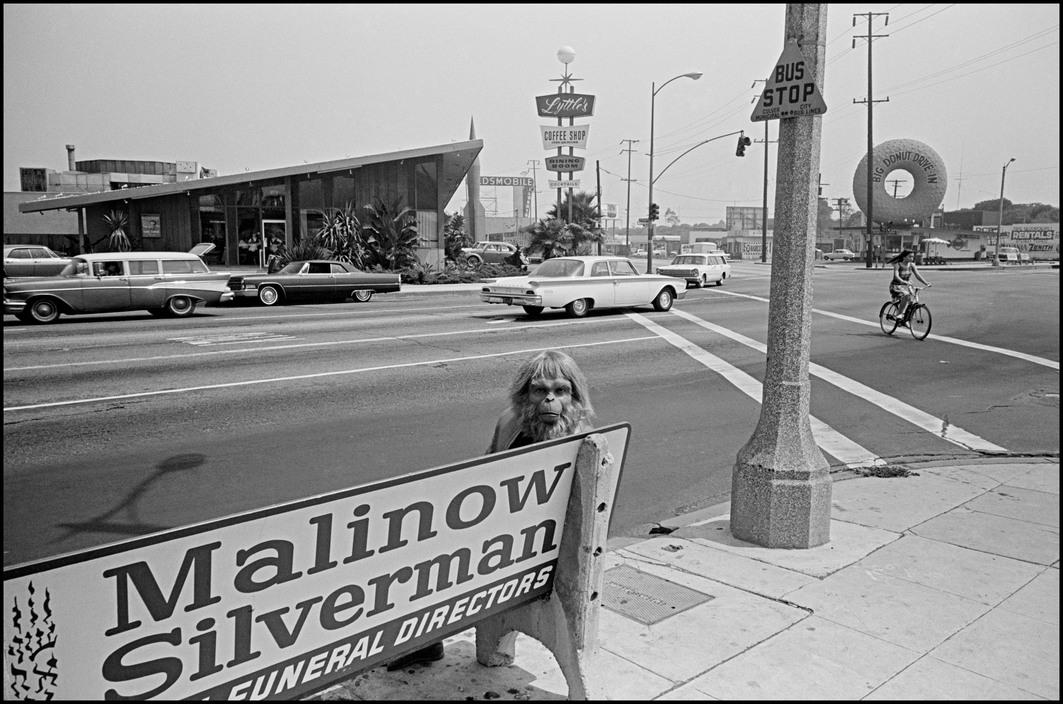 Los Angeles, 1967.jpg