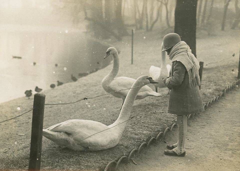 Girl feeding swan. Bois de Boulogne, Paris, ca. 1930.jpg