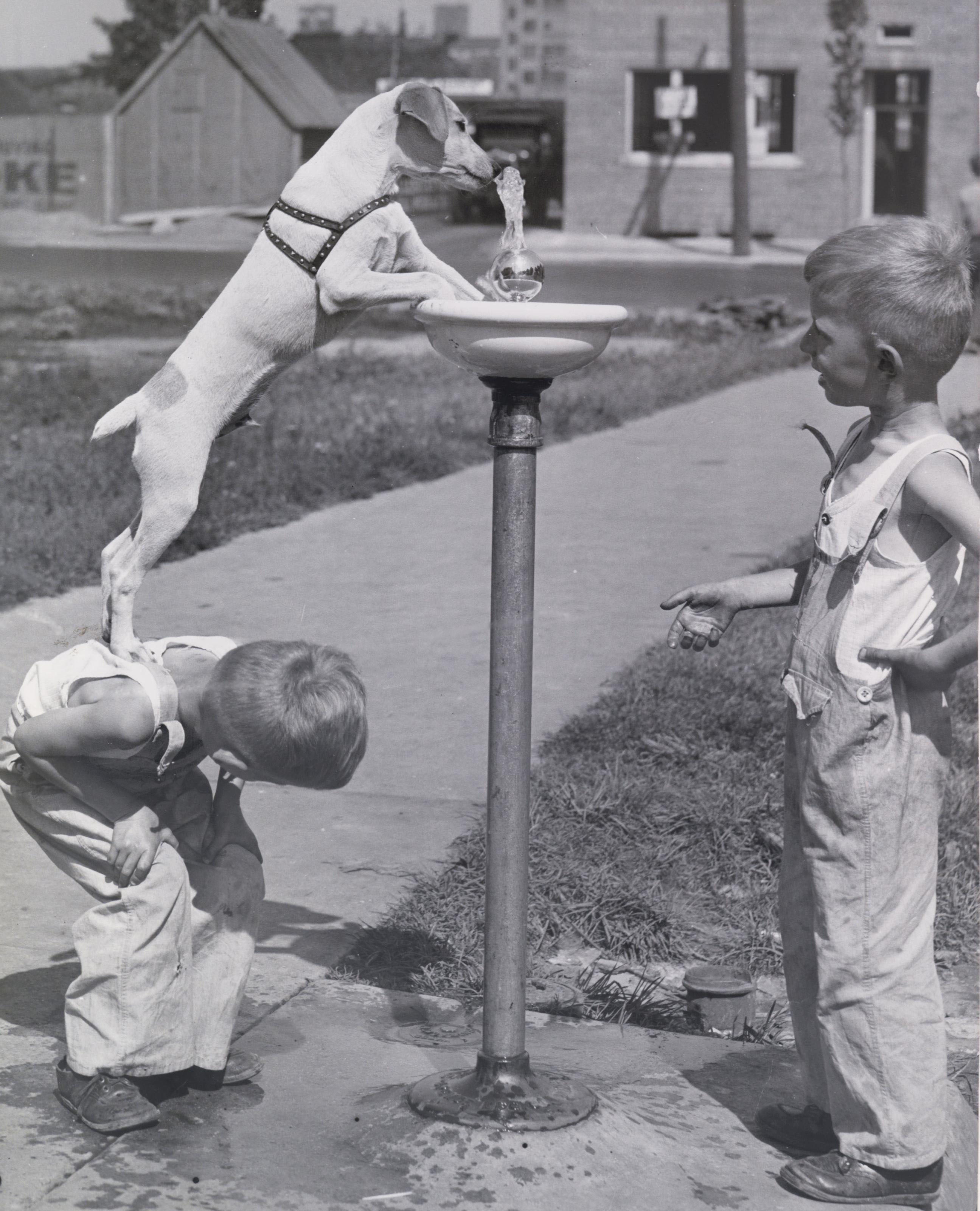Giving a pal a boost on a hot day, August 28, 1938.jpg