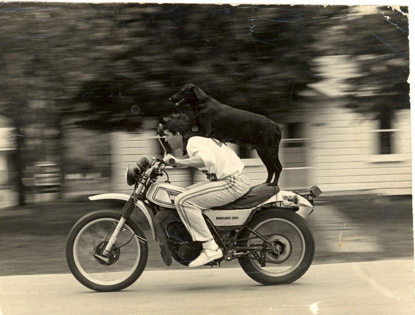 My dad, his dog and his hog (1970s).jpg