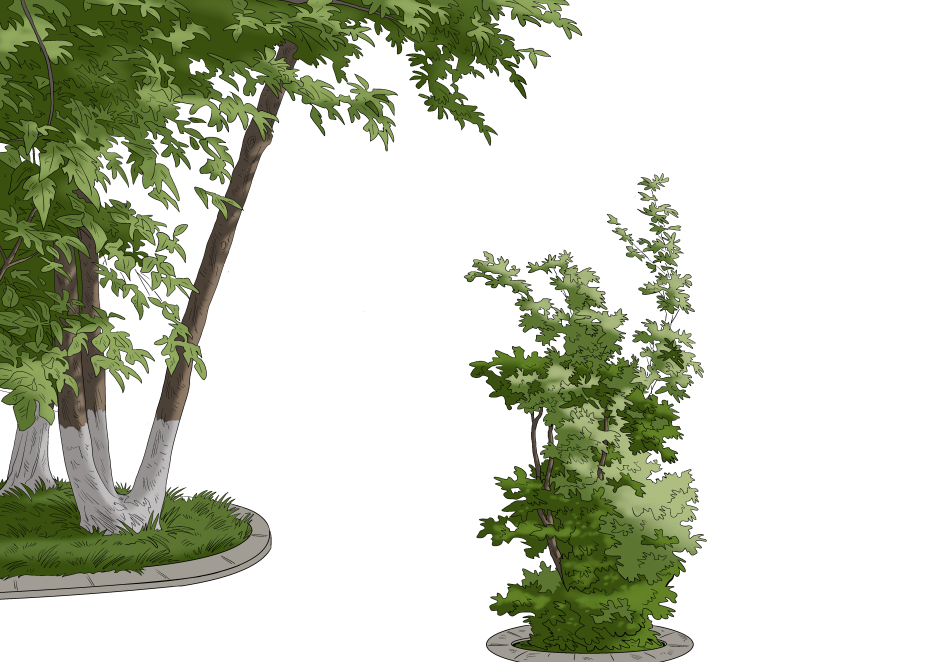 Trees_001_sm.png