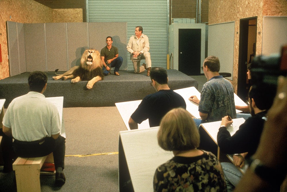 Disney animators study the mannerisms of a real-life lion for their upcoming movie project The Lion King in 1994.jpg