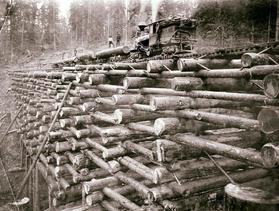 A railroad bridge built entirely of stacked logs in Oregon, 1903.jpg
