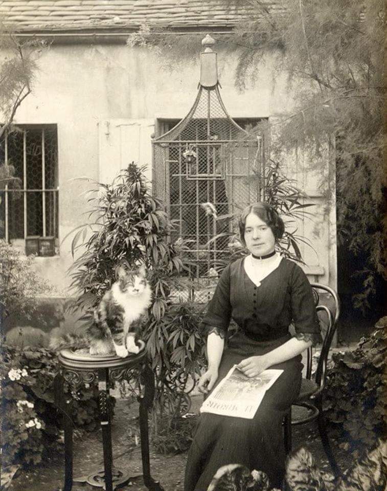 Parisian woman with her cat in her cannabis garden, 1910, France.jpg