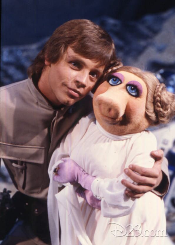 The Muppet Show The Stars of Star Wars (TV Episode 1980).jpg