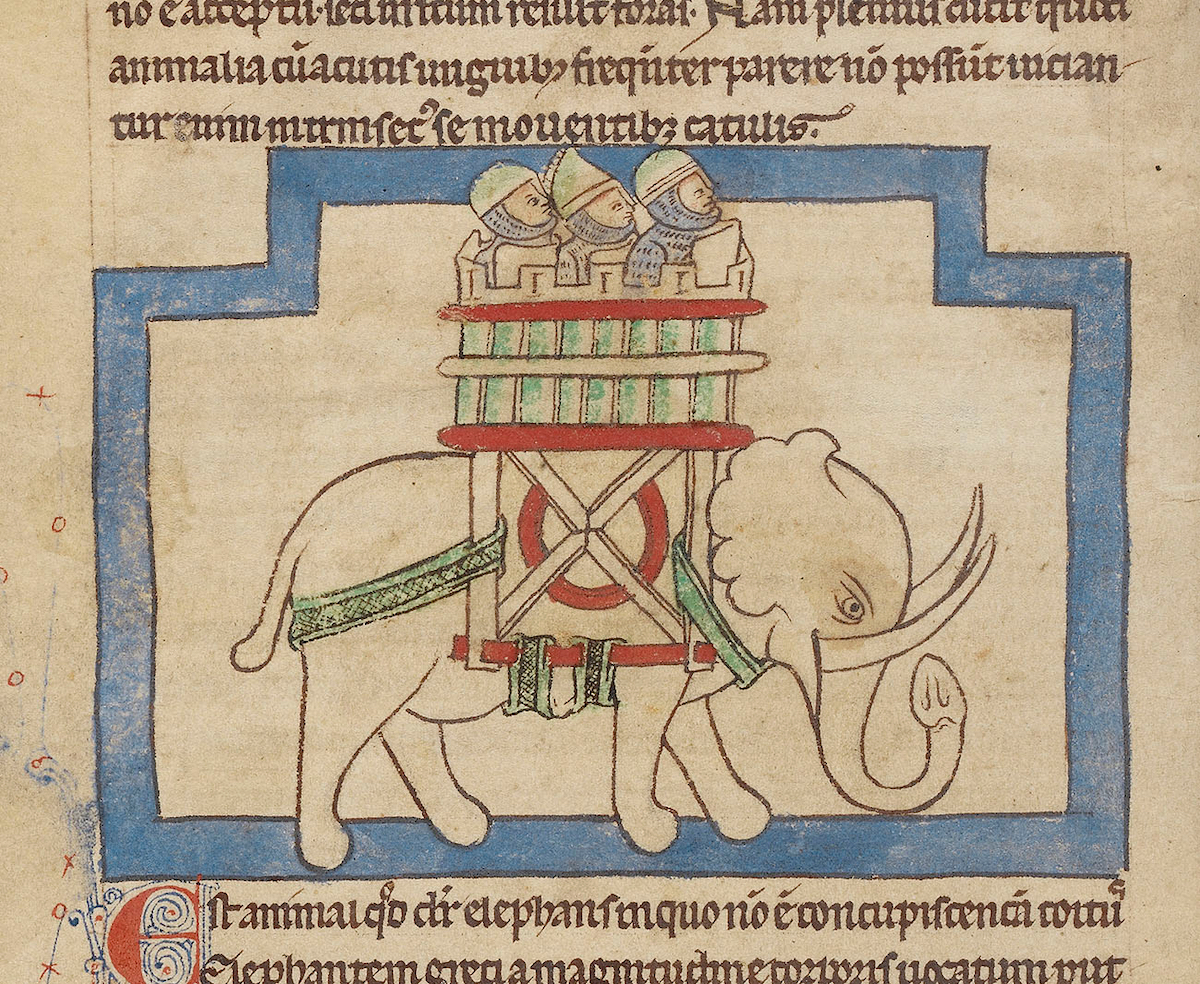 middle-ages-elephants15.jpg