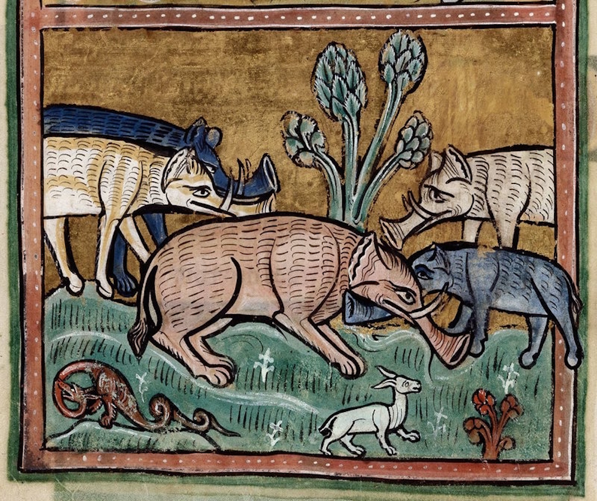 middle-ages-elephants12.jpg