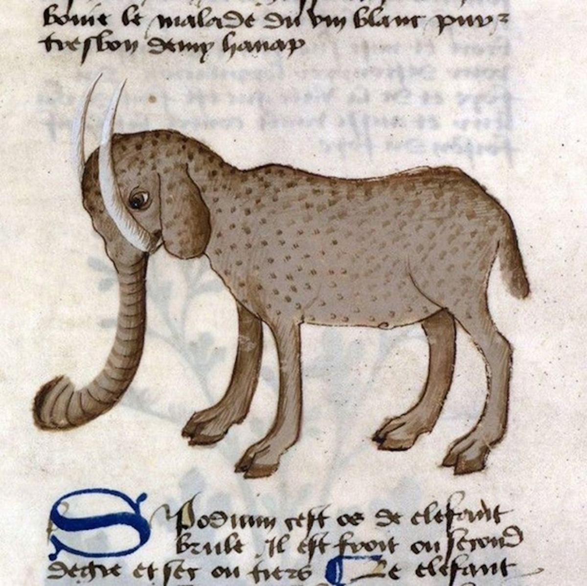 middle-ages-elephants10.jpg