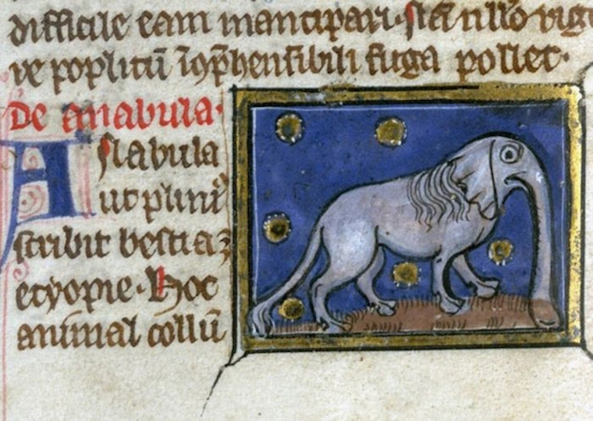 middle-ages-elephants8.jpg