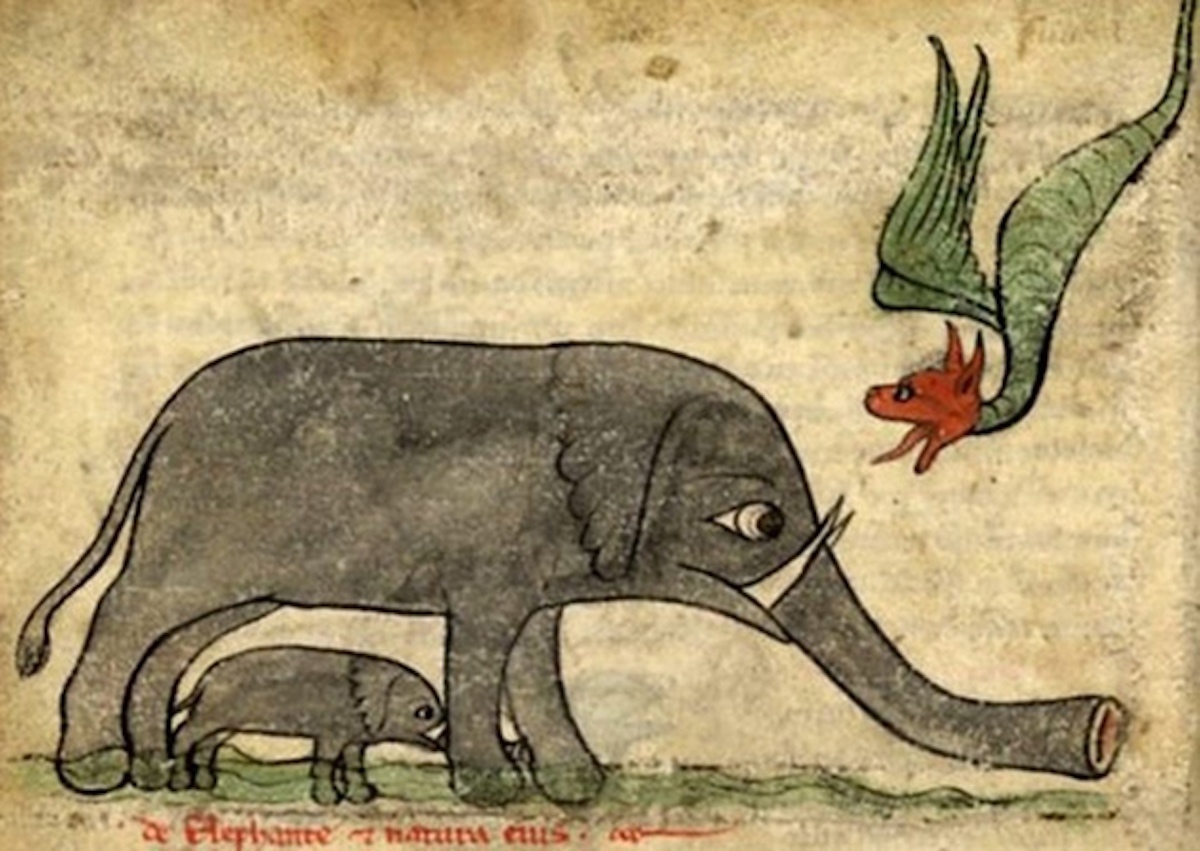 middle-ages-elephants5.jpg