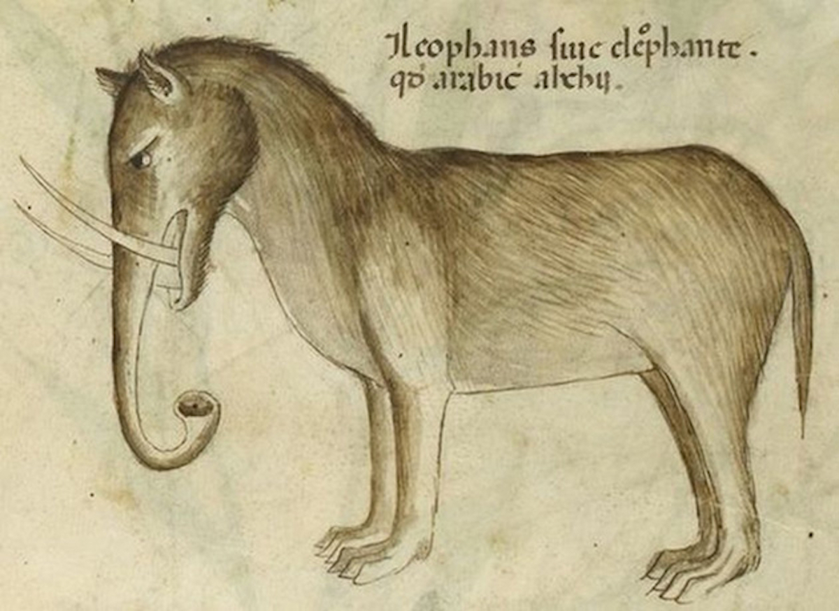 middle-ages-elephants2.jpg