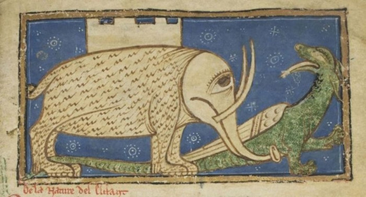 middle-ages-elephants1.jpg