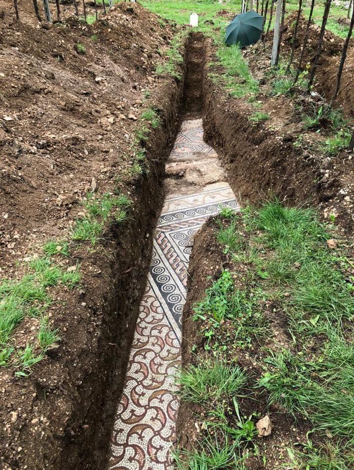 Mosaics of a Roman villa were found under a vineyard in Negrar, Italy.png