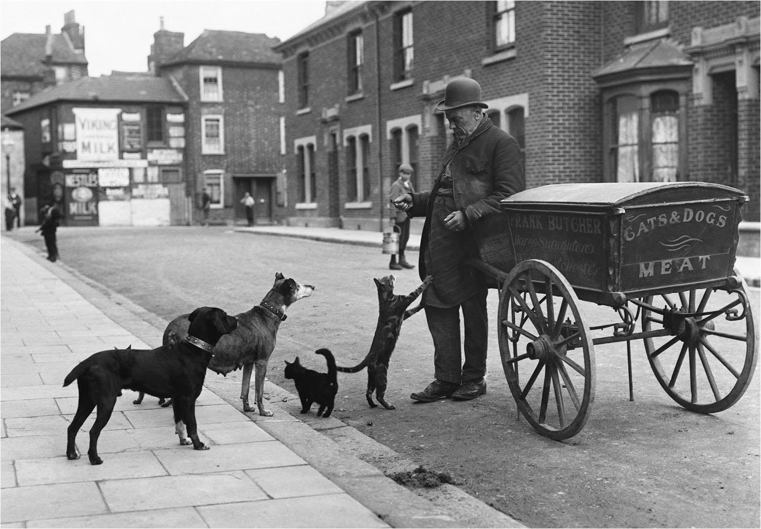 Cats and dogs queue up for horse meat in pet friendly London, 1890s.jpg