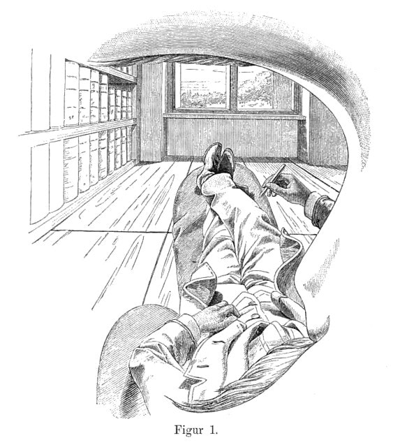 View from the Left Eye (Self-Portrait by Ernst Mach, 1886).jpg