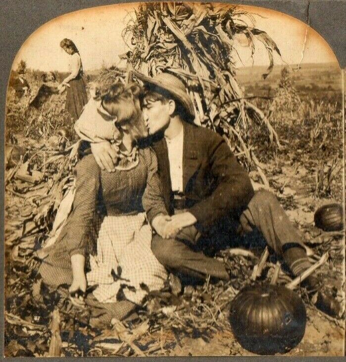 Young couple kissing in a pumpkin patch - 1899.jpg