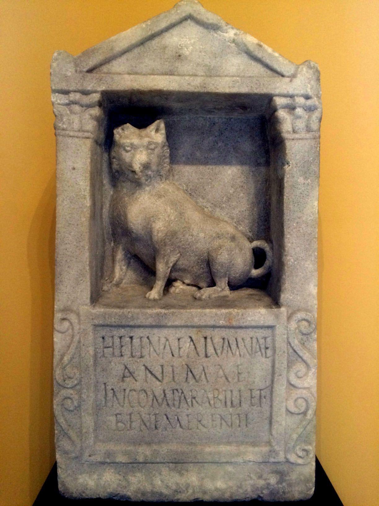 A tombstone from ~200 AD of a Roman family's dog named Helena. The inscription reads To Helena, foster daughter, incomparable and praiseworthy soul.jpg