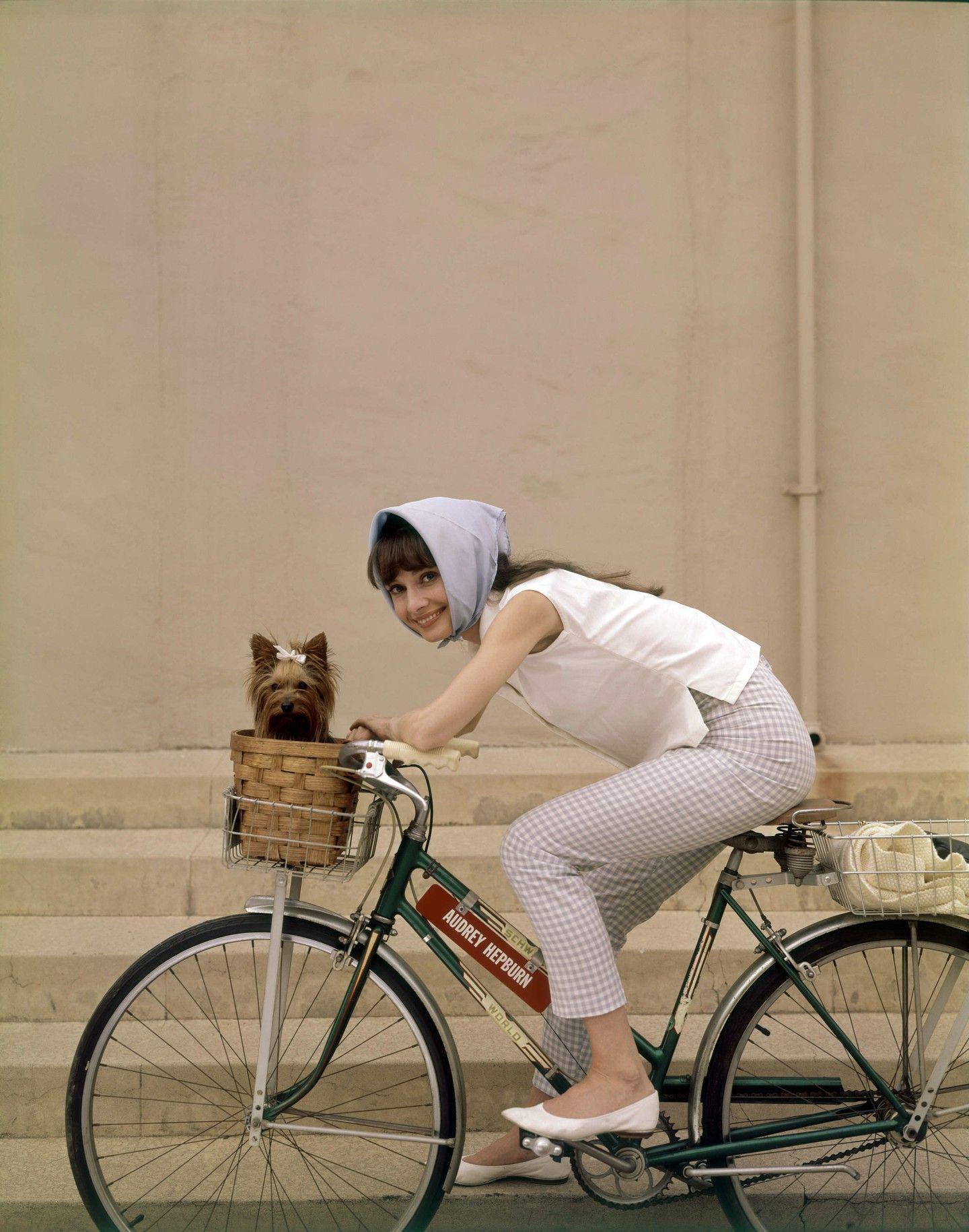 Audrey Hepburn, 1963.jpg