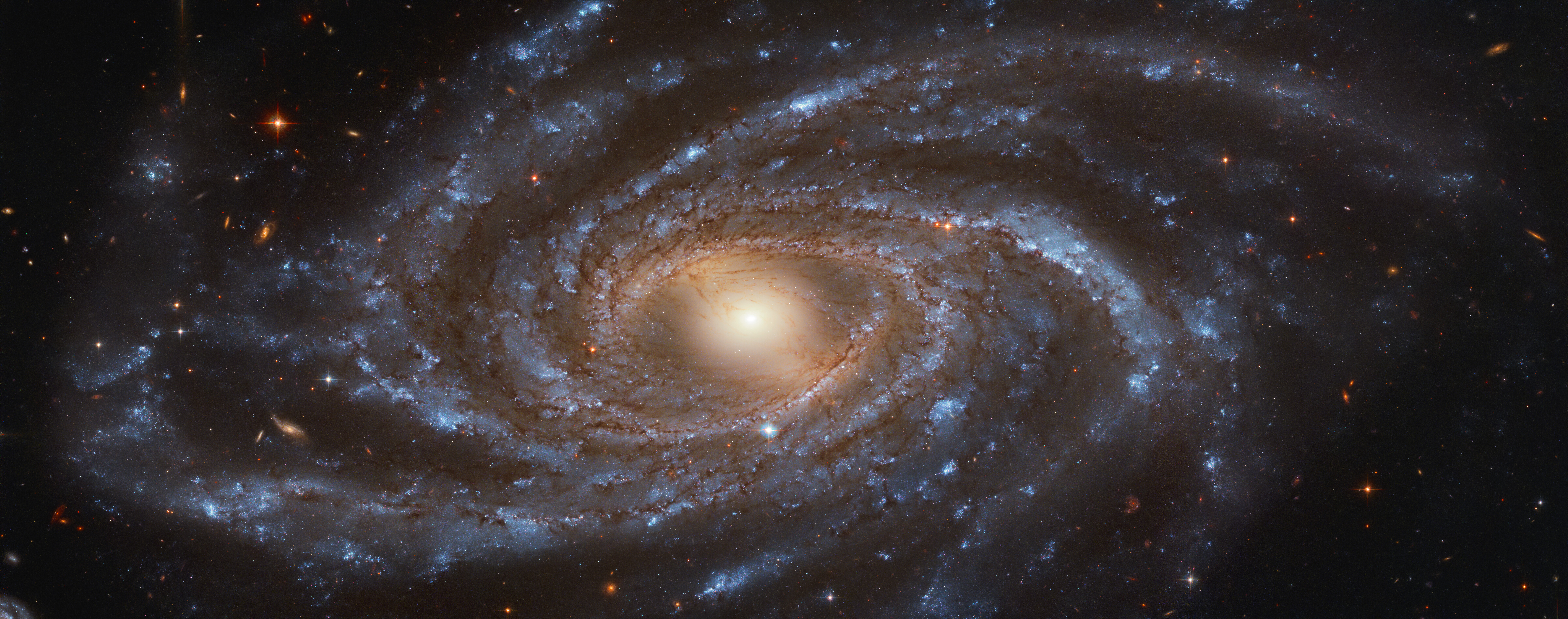 Hubble Beholds a Big, Beautiful Blue Galaxy NGC 2336.jpg