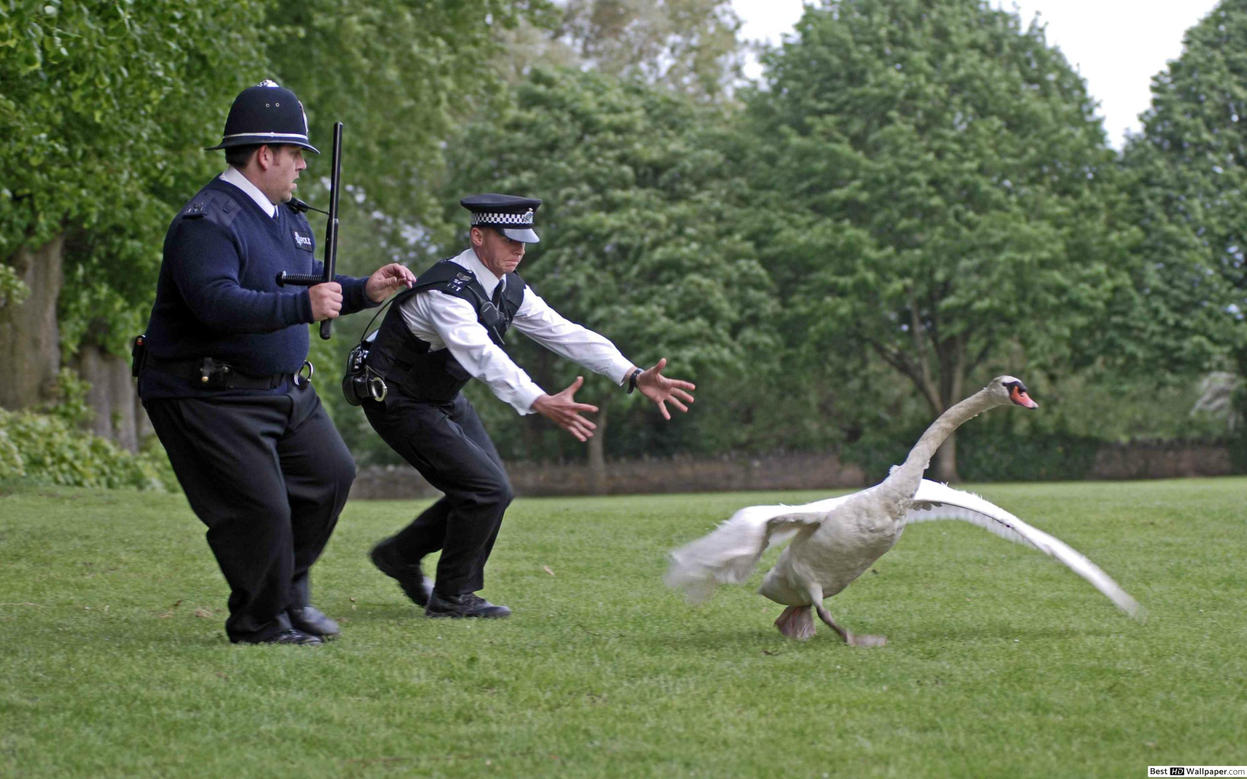 hot-fuzz-chasing-swan.jpg