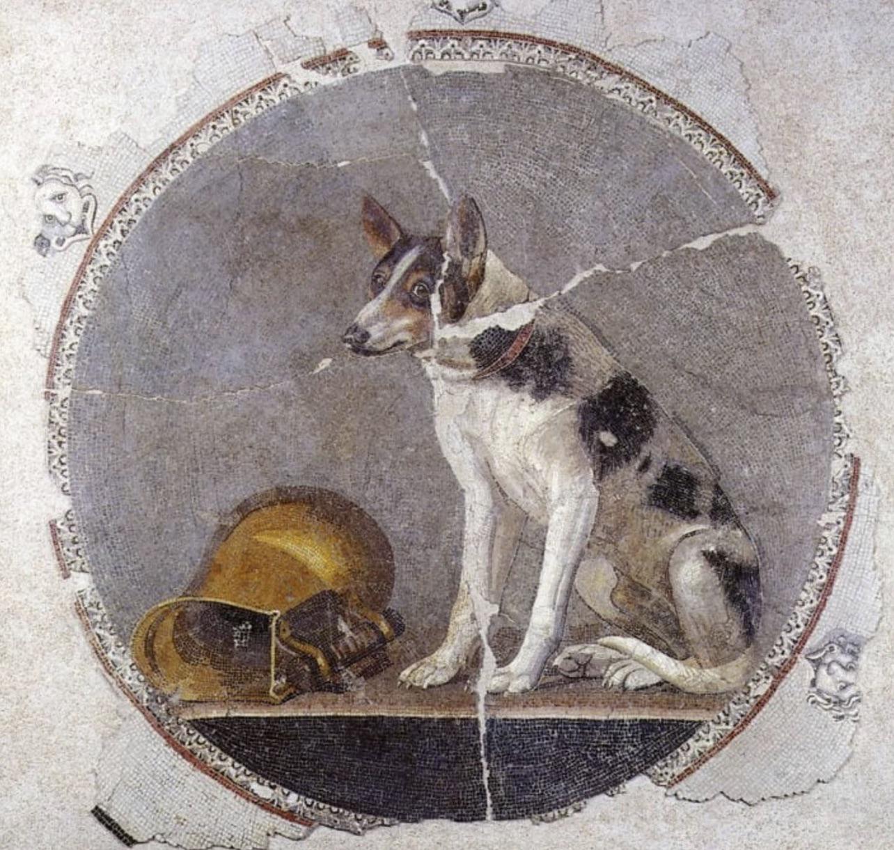 This is a 2,000-year-old Egyptian floor mosaic depicting a dog and a knocked-over gold vessel.jpg