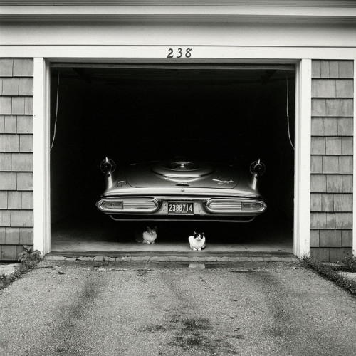 Chicago Suburbs by Vivian Maier - 1957.jpg