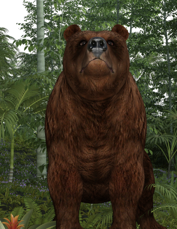 toobearornottoobear.png