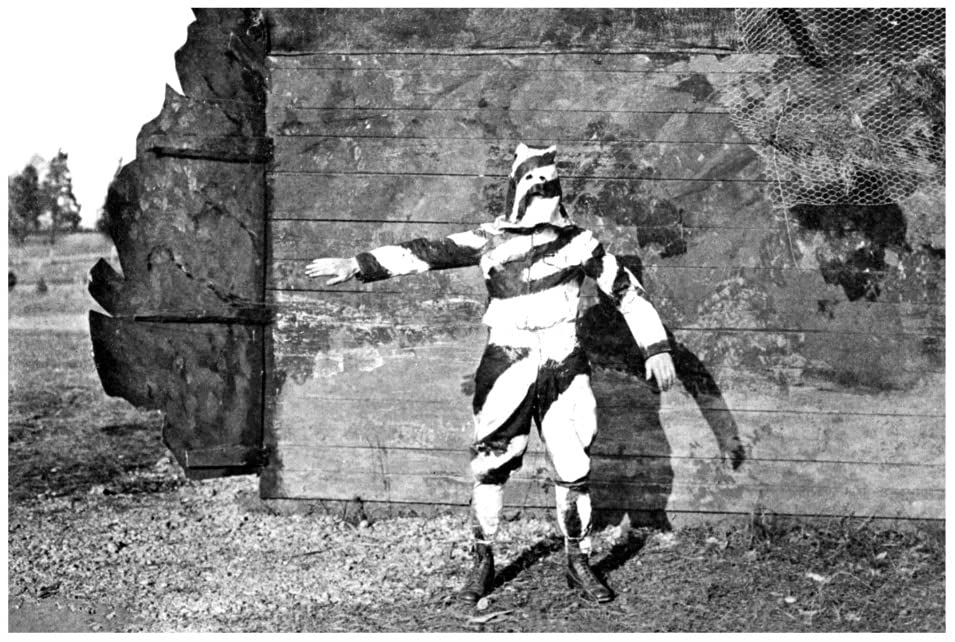 WW1 experimental camouflage ~ 1917.jpg