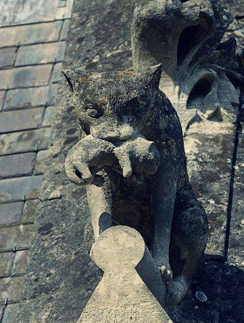 Cat with a kitten statue on the roof of the castle of Château de Pierrefonds, France. It was built between 1393-1407.png