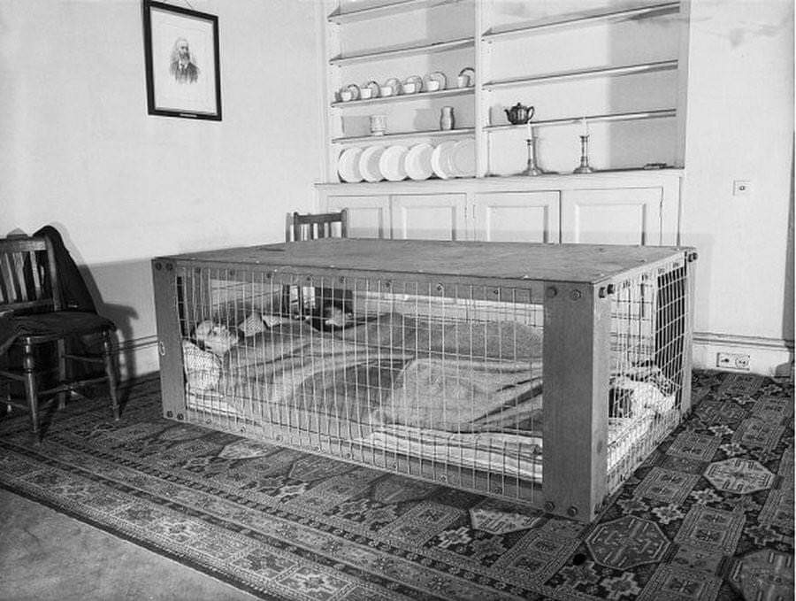 Morrison's shelter in WW2 UK used to protect from air raids while sleeping.jpg