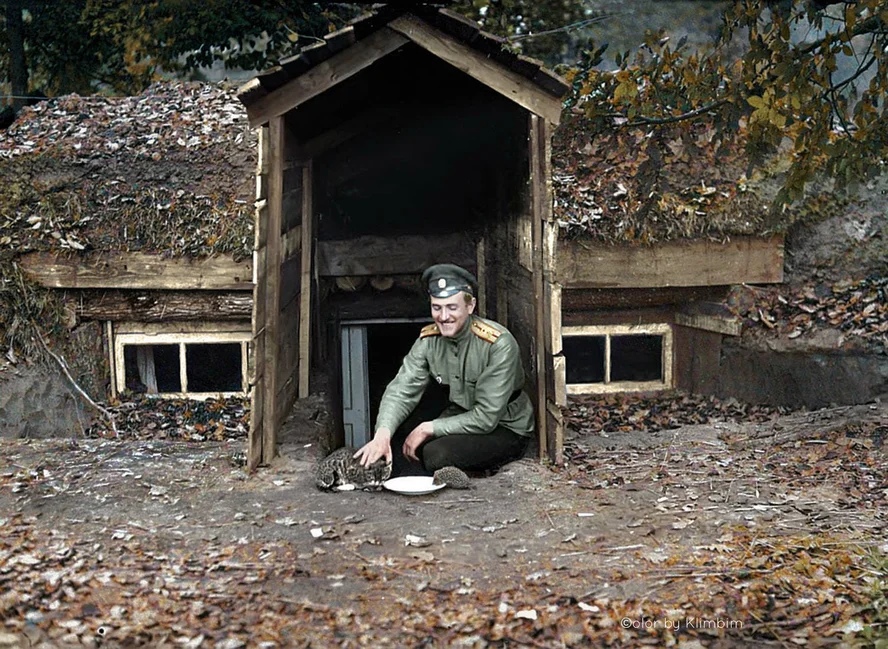 A Russian Imperial officer feeding milk to a cat and a hedgehog. Somewhere in the Eastern Front, 1916.jpg