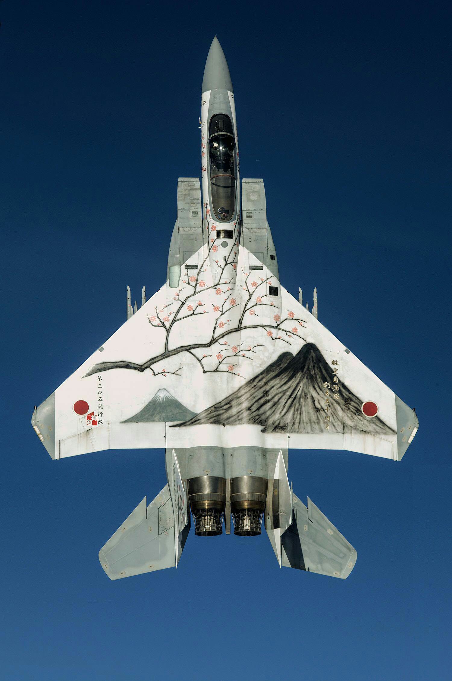 Japan Self-Defense Air Force Fighter Jet.jpg