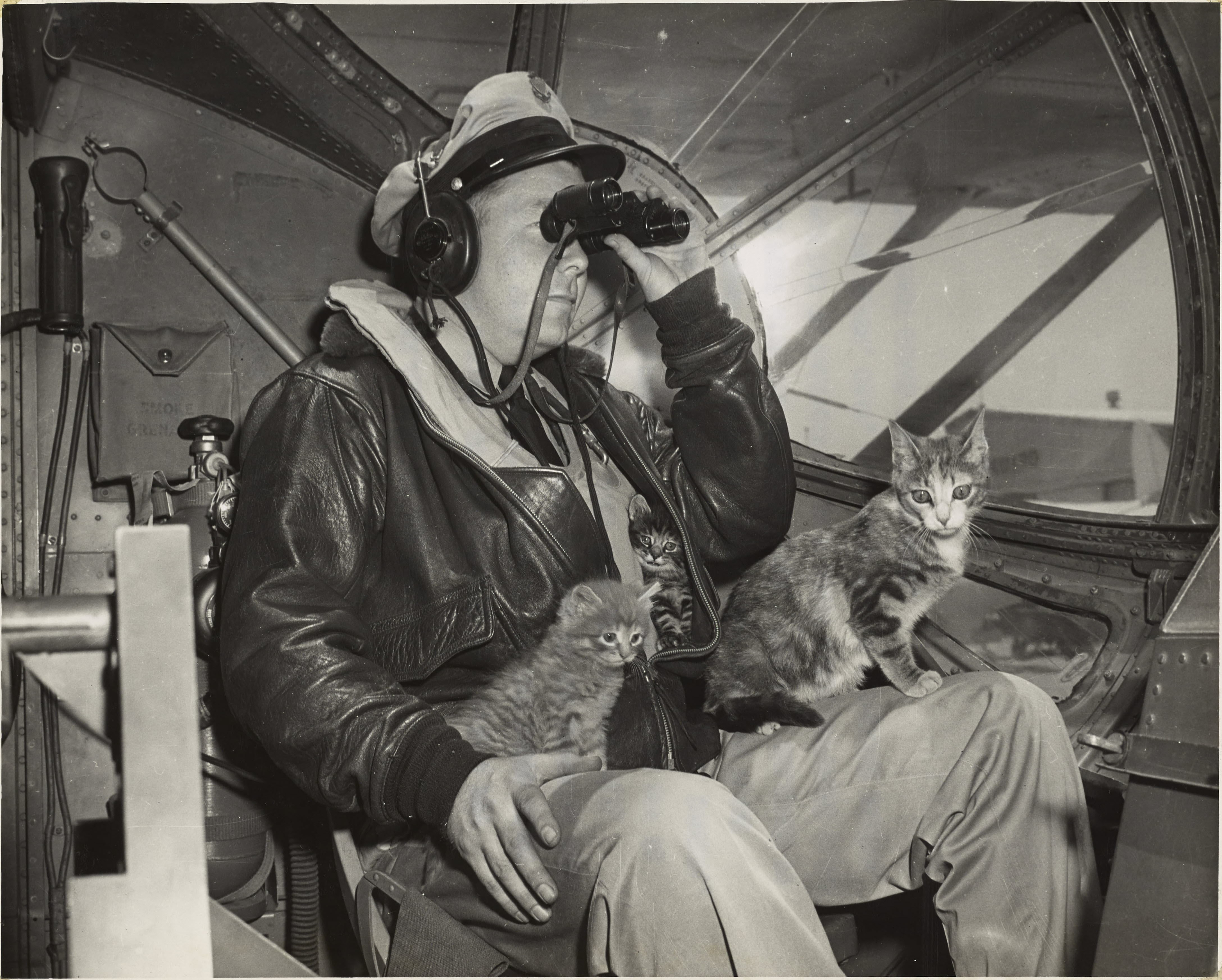 Cats patrolling for downed airplanes off the coast of California, 1940s.jpg