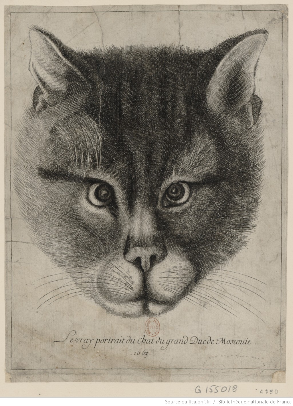 Вацлав Холлар. Подлинный портрет кота Великого князя Московского. 1663.jpg