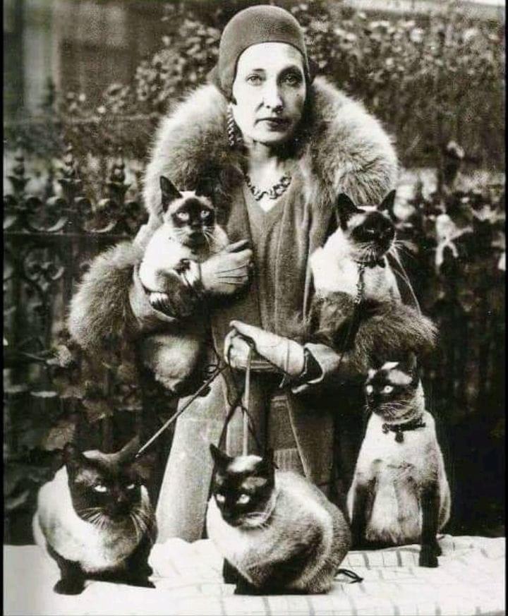 1920’s cat lady.jpg