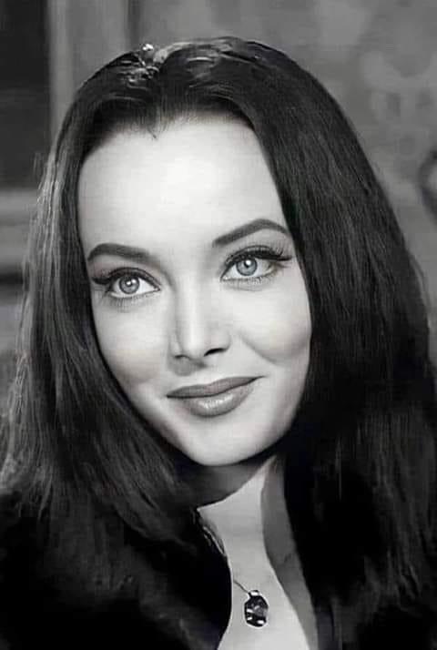Carolyn Jones 1964, began playing the role of Morticia Addams in the original 1964 television series The Addams Family.jpg