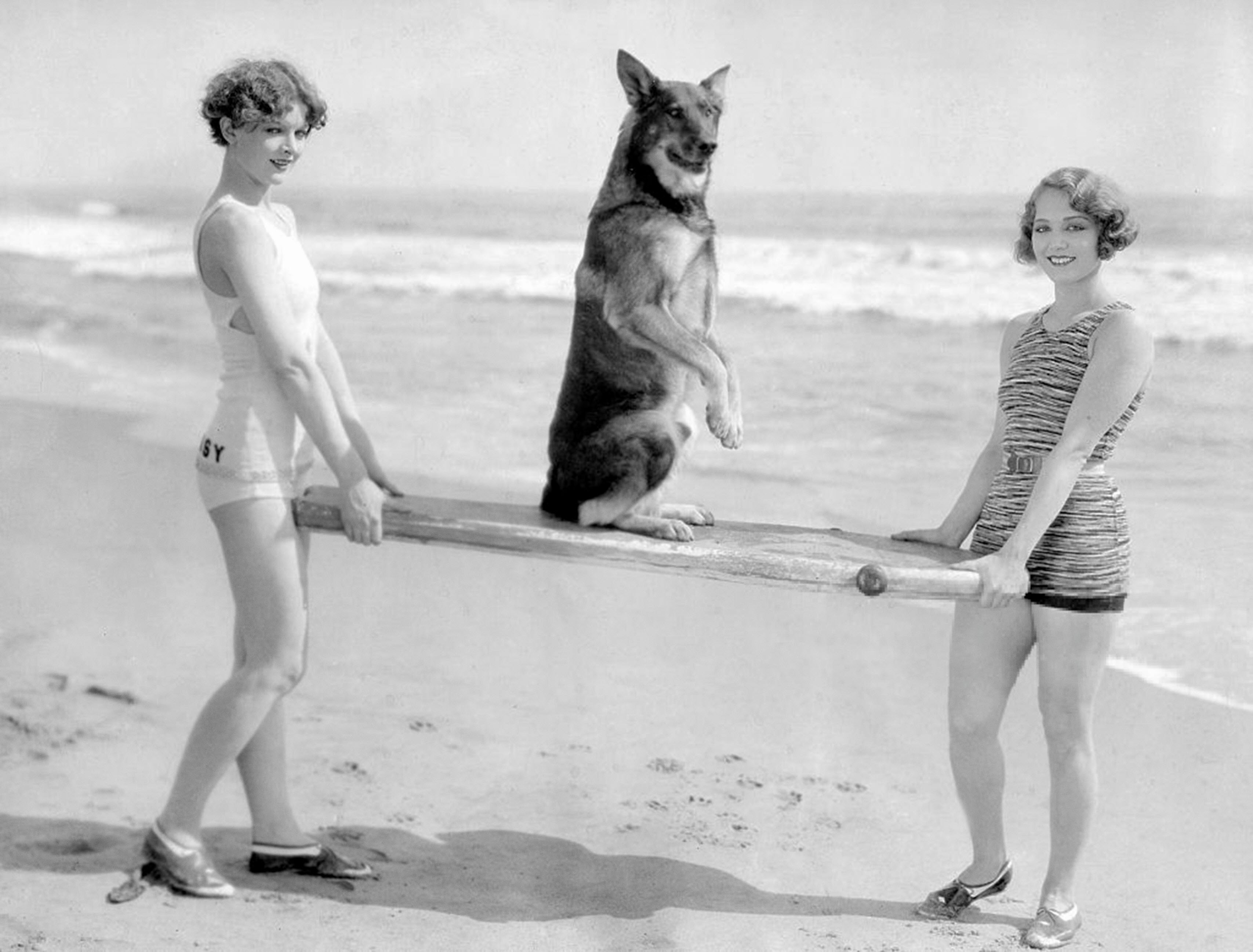 Myrna Loy and Leila Hyams carrying movie dog Rin-Tin-Tin at the beach, 1920s.jpg