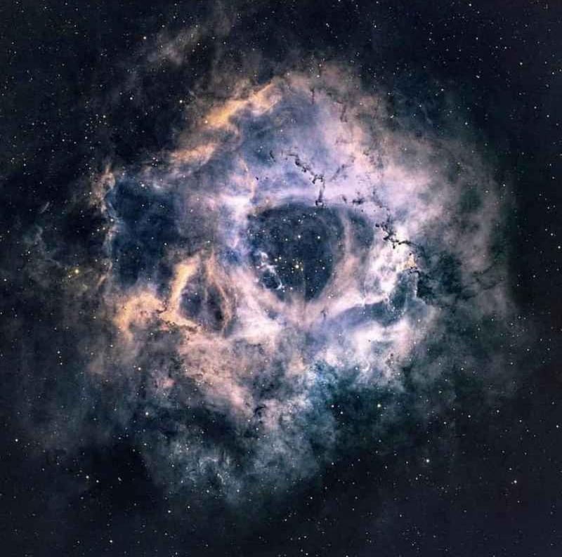 Rosette Nebula, A Human Skull With Radius Of 65 Light Years!.jpg