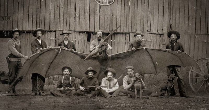 Hunters with Pterosaur in 1893.jpg