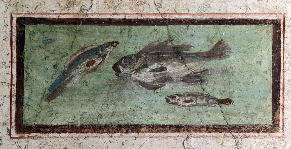 Roman fresco showing fish in the ‘House of the Ephebus’ in Pompeii.jpg